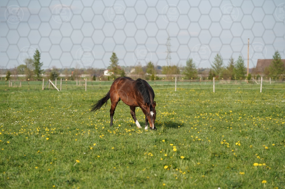 s_A9_09655.jpg